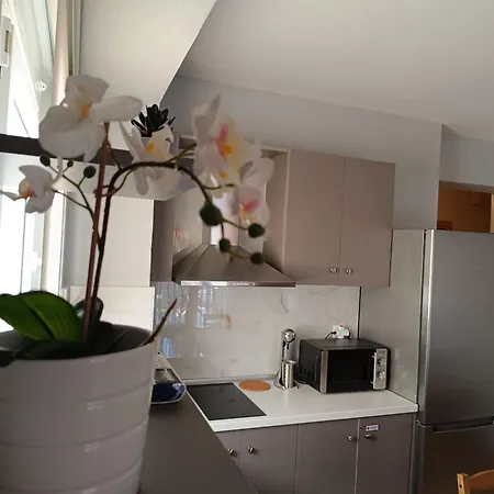 Dimitra#relaxhomekallithea شقة Kallithea (Chalkidiki)